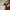 Christian Louboutin Tricolor Suede And Leather