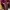 Gaun Pesta Jubah Maroon photo 4