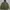 UNIONBAY Parka Jacket Army photo 1