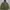 UNIONBAY Parka Jacket Army