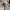 Partimento canvas hooded jacket photo 6