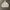 Partimento canvas hooded jacket photo 1