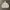 Partimento Canvas Hooded Jacket