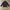 Frank stone chore jacket black photo 6