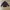 Frank stone chore jacket black photo 1
