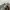 HALFBUTTON GREY KNIT SWEATER  photo 4