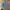 Port Authority Denim Jacket Type III