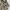 Uniqlo Mountain Parka Field Jacket
