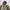 Uniqlo mountain parka field jacket photo 5
