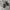 Nike Streetwear Sneakers Pria white black photo 4