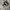 Nike Streetwear Sneakers Pria white black photo 2
