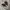 Nike Streetwear Sneakers Pria white black photo 3