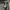 Kangol Long Sleeve  photo 6