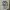 Jersey Adidas Aeroready Choji High School Original photo 1