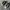 Nike Streetwear Sneakers Pria white green photo 2
