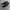 VANS KYLE WALKER PRO BLACK photo 1