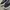VANS KYLE WALKER PRO BLACK photo 5