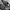 VANS KYLE WALKER PRO BLACK photo 2
