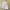 ZARA Minimalist Casual Skirt Wanita White