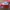 Reebok Jogger Lite / 41, 42 photo 1