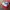 Reebok Jogger Lite / 41, 42 photo 3