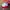Reebok Jogger Lite / 41, 42 photo 2