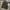 overshirt Weekend Offender ovs WO photo 1