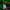Jersey Hummel Jeonbuk Hyundai Motors 500 Achievement Games photo 7