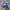 Intel hat photo 1