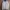 SWEATER NFL TEAM APPAREL  photo 1