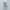 Asics Gel Kayano 14 Birch Dark Pewter photo 2