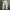 Dickies Double Knee Pants White photo 3