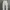 Dickies Double Knee Pants White