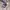 Balenciaga Spell Out Embroidery Brown Jumper Crewneck photo 8