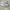 Nike Air Max 90 Women’s White Sneakers shoes photo 1