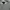 Crewneck sweater oversize grey Newtro blacksmith apparel photo 2