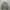 Crewneck sweater oversize grey Newtro blacksmith apparel photo 1