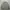 Crewneck Sweater Oversize Grey Newtro Blacksmith Apparel