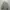Crewneck sweater oversize grey Newtro blacksmith apparel photo 4