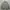Crewneck Sweater Oversize Grey Newtro Blacksmith Apparel