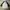 Kaos 3/4 Sleeve OFWGKTA Second Vintage Rare Item photo 1