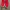VANS SLIP ON RED CHILI🌶️ photo 3
