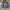 realtree lamia hoodie photo 1