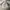 Kaos 3/4 Sleeve Travel Second Vintage Rare Item photo 1