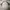 Kaos 3/4 Sleeve Travel Second Vintage Rare Item photo 5