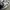 VANS AUTHENTIC ANAHEIM STYLE 44 DX CORDUROY COW photo 2