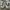 VANS AUTHENTIC ANAHEIM STYLE 44 DX CORDUROY COW photo 4