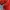 UMBRO Jacket Halfzip Red Pria photo 6