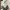 One set coquette white top ruffle tiered skirt gray acubi photo 8