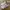 Nike M2k Tekno White Grey Size 39 photo 1